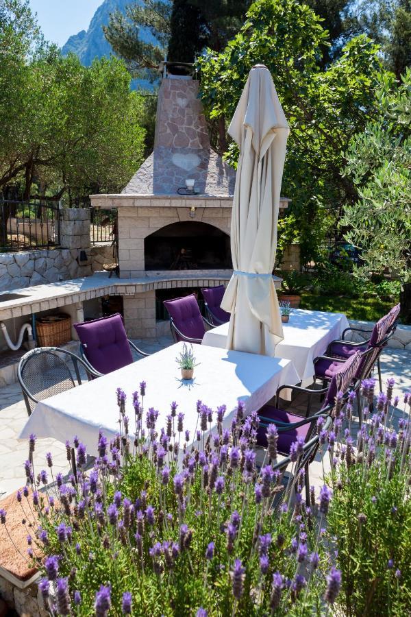 Casa Viter Zaostrog Daire Dış mekan fotoğraf